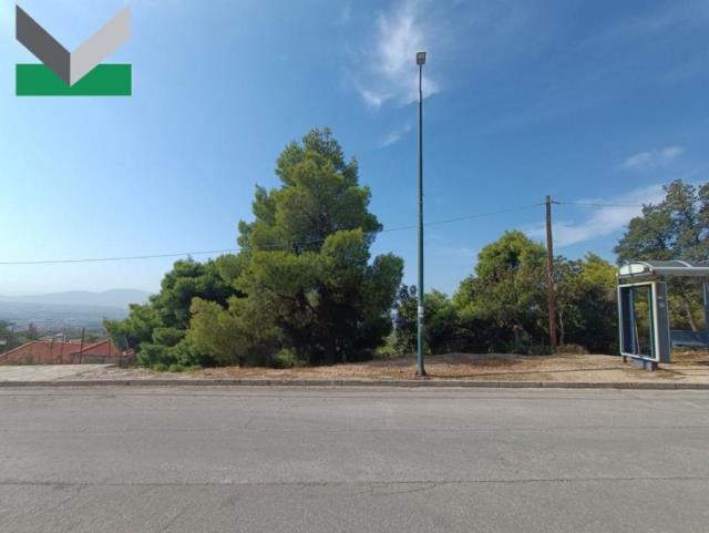 (For Sale) Land Plot || East Attica/Thrakomakedones - 1.010 Sq.m, 220.000€ 