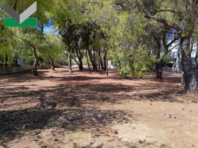 (For Sale) Land Plot || East Attica/Thrakomakedones - 1.007 Sq.m, 370.000€ 