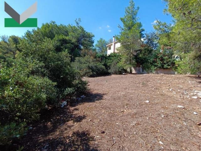 (For Sale) Land Plot || East Attica/Thrakomakedones - 1.010 Sq.m, 330.000€ 