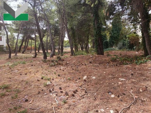 (For Sale) Land Plot || East Attica/Thrakomakedones - 1.001 Sq.m, 270.000€ 