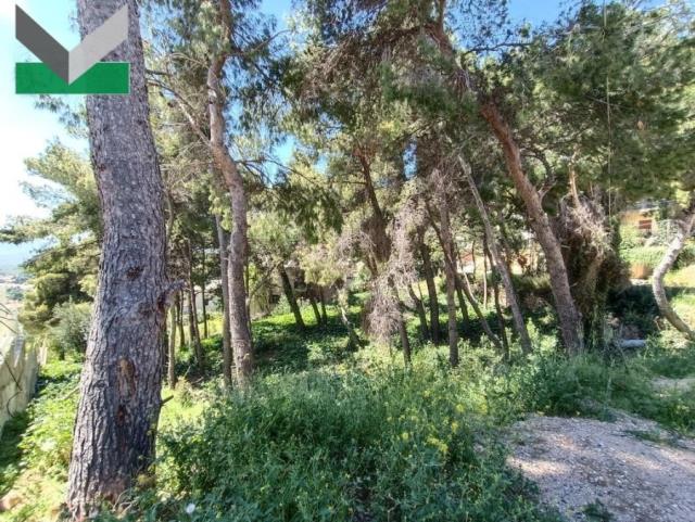 (For Sale) Land Plot || East Attica/Thrakomakedones - 1.206 Sq.m, 225.000€ 