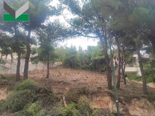 (For Sale) Land Plot || East Attica/Thrakomakedones - 1.010 Sq.m, 200.000€ 